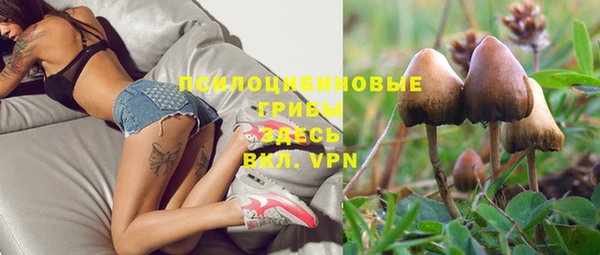 2c-b Липки