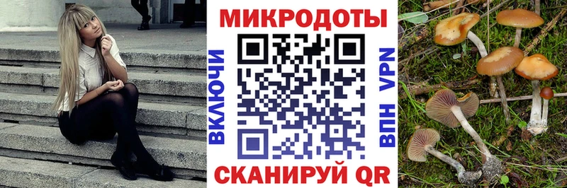 kraken онион  Стрежевой  Галлюциногенные грибы мицелий  что такое наркотик 