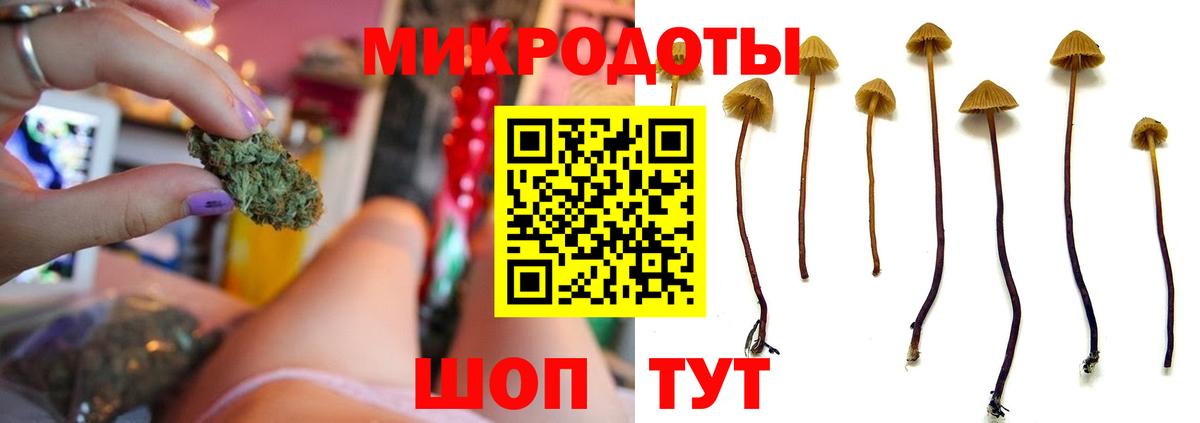где купить наркоту  Галлюциногенные грибы Magic Shrooms  Стрежевой  Псилоцибиновые грибы мухоморы 